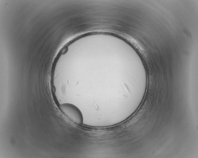 X0000115701334200912101206