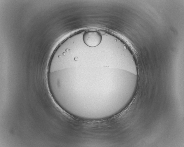 X0000115701335200912101206