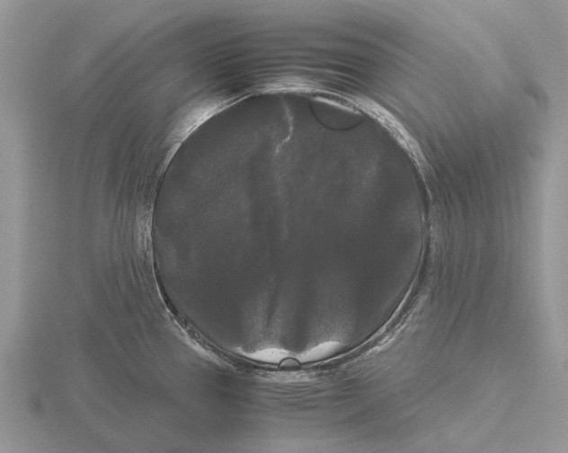 X0000115701337200912101207