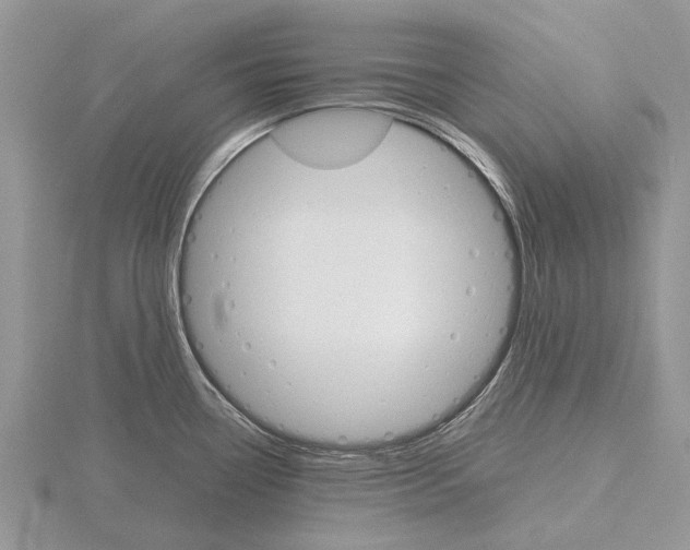 X0000115701338200912101207