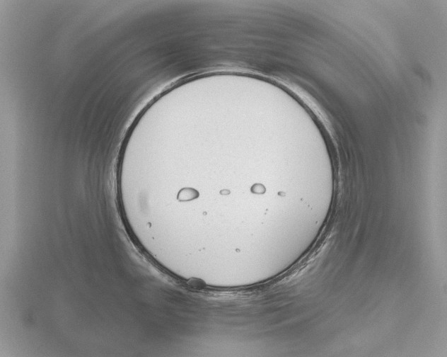 X0000115701341200912101207