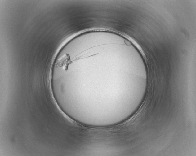 X0000115701343200912101207