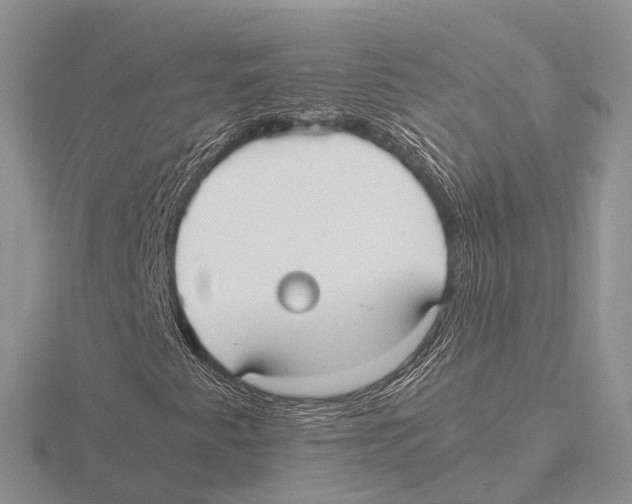 X0000115701345200912101206