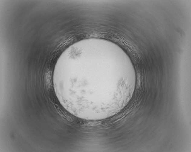 X0000115701346200912101206