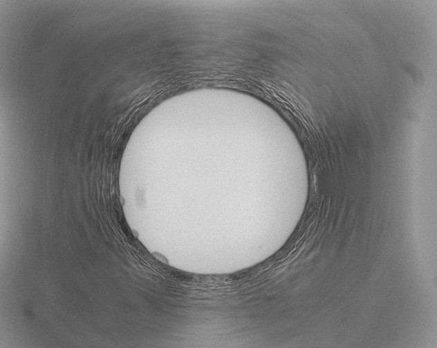 X0000115701347200912101206