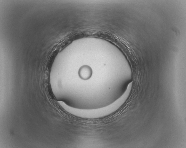 X0000115701349200912101206