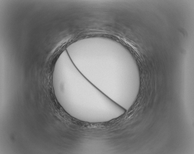 X0000115701351200912101206