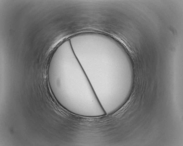 X0000115701355200912101206