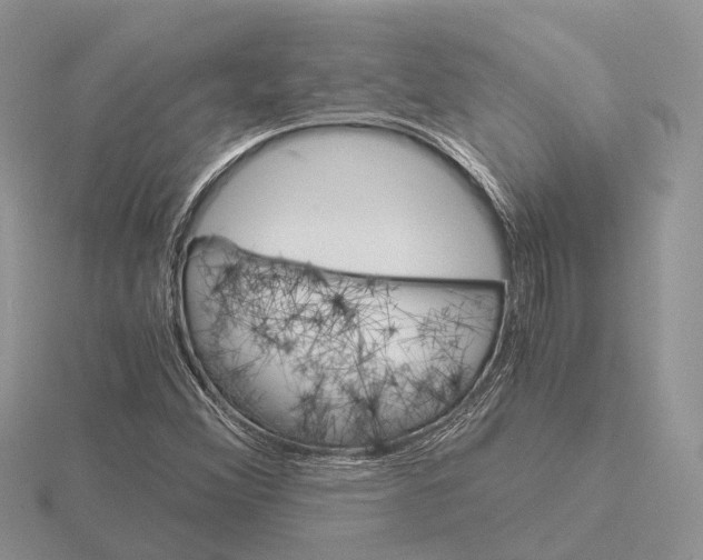 X0000115701356200912101206