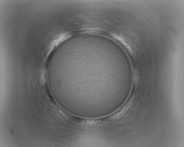 X0000115701357200912101206