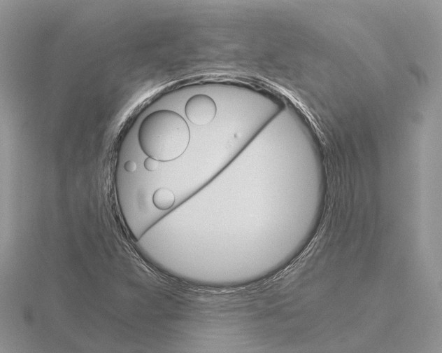 X0000115701359200912101206