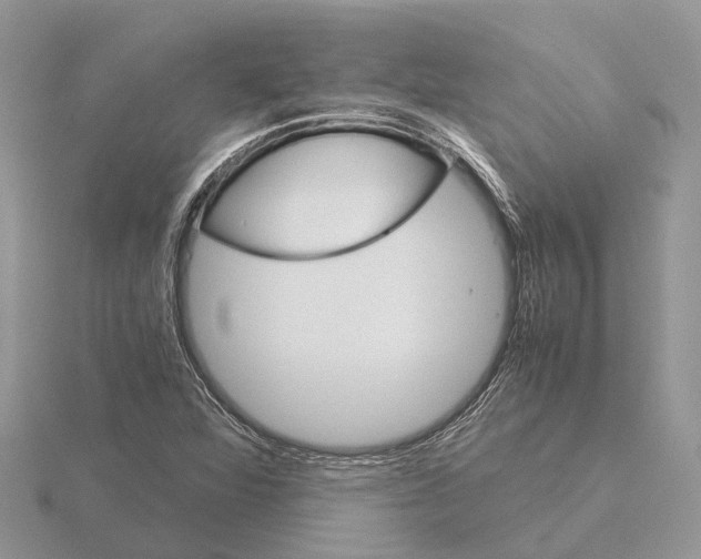 X0000115701360200912101206