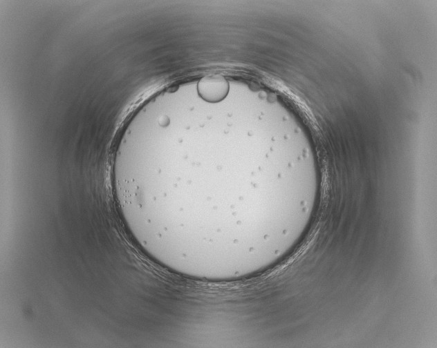 X0000115701362200912101206