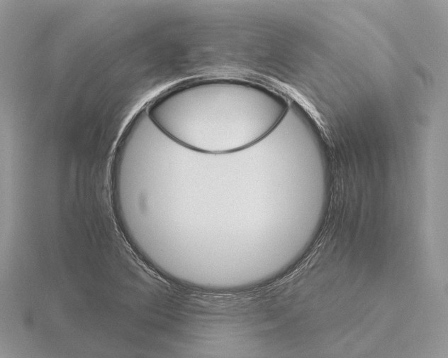 X0000115701364200912101206