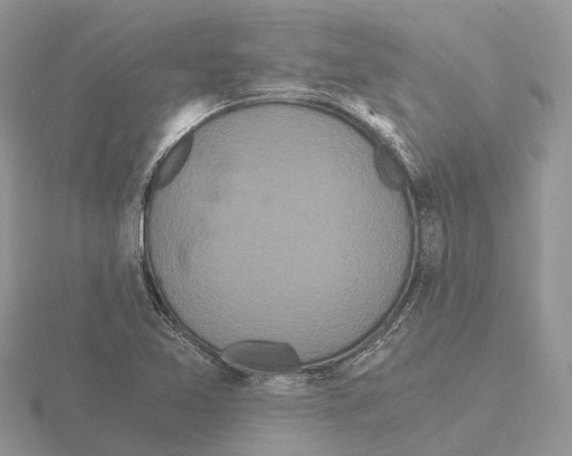 X0000115701365200912101206