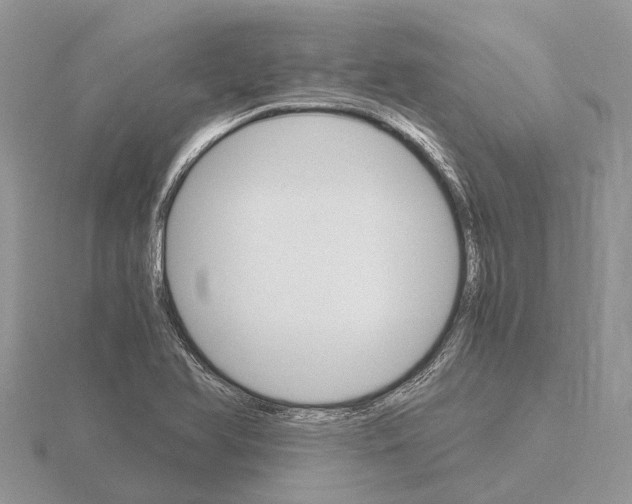 X0000115701366200912101206