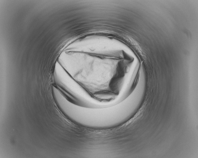 X0000115701369200912101206