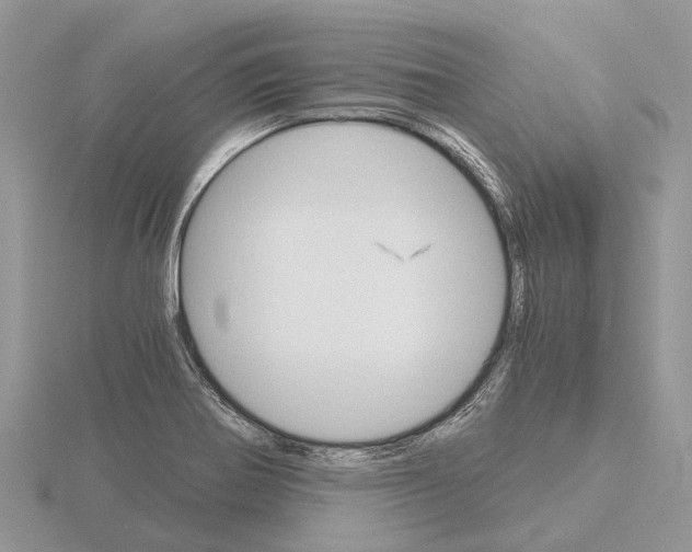 X0000115701370200912101206