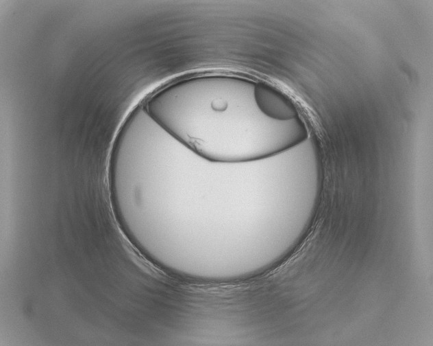 X0000115701372200912101206