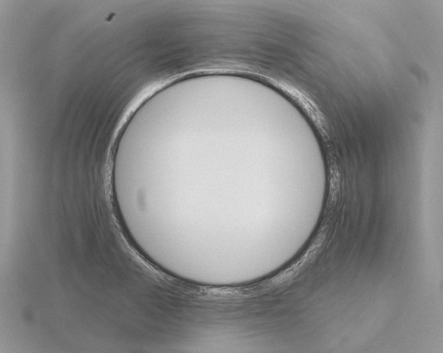 X0000115701374200912101206