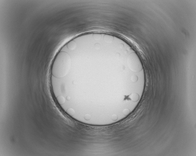 X0000115701375200912101206