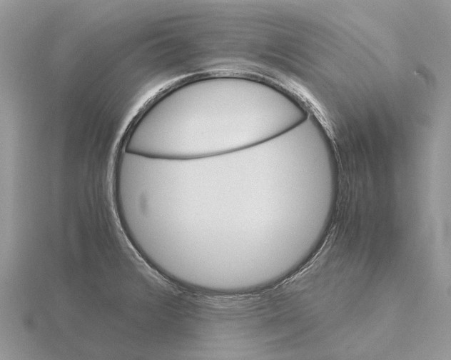 X0000115701376200912101205