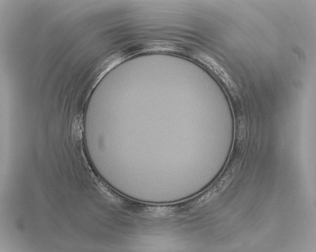 X0000115701377200912101205