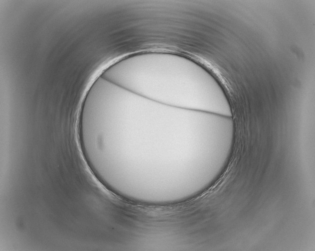 X0000115701379200912101205