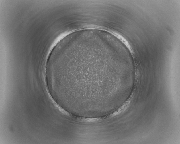 X0000115701381200912101205