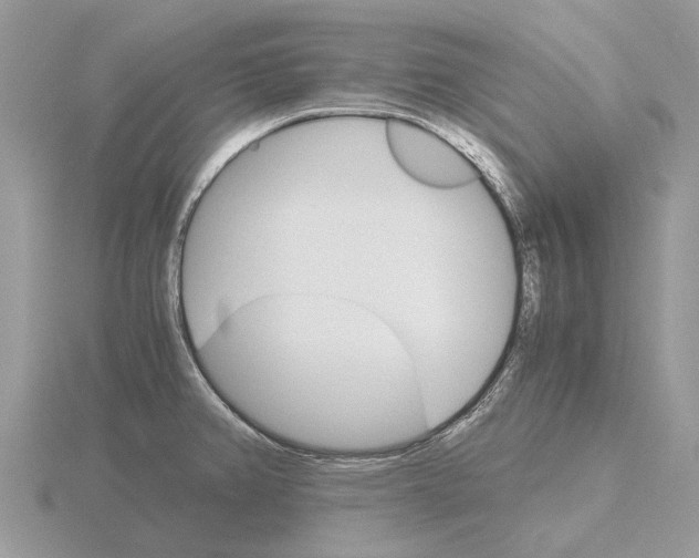 X0000115701382200912101205