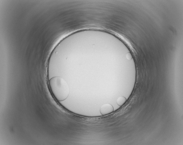 X0000115701383200912101205