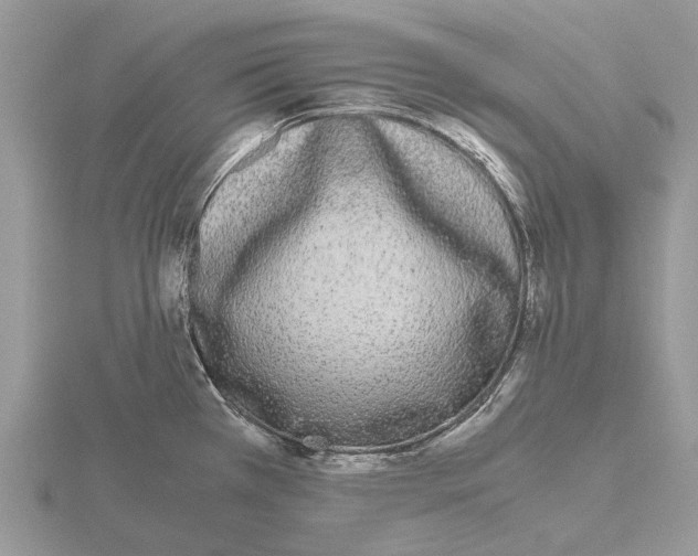 X0000115701385200912101205