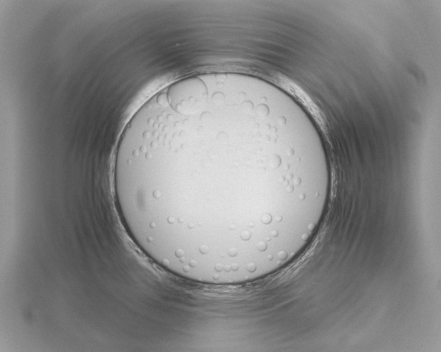 X0000115701386200912101205