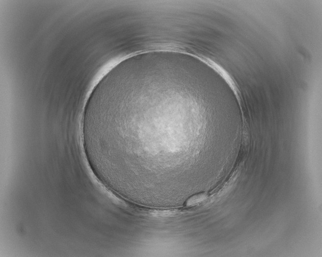 X0000115701389200912101205