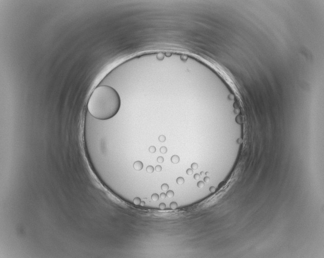 X0000115701390200912101205