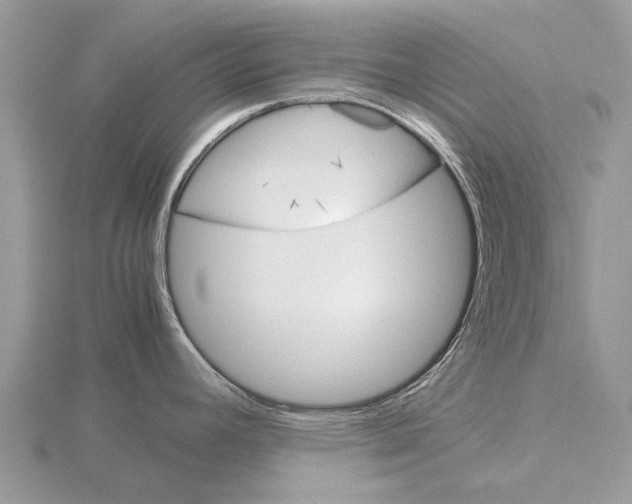 X0000115701392200912101205