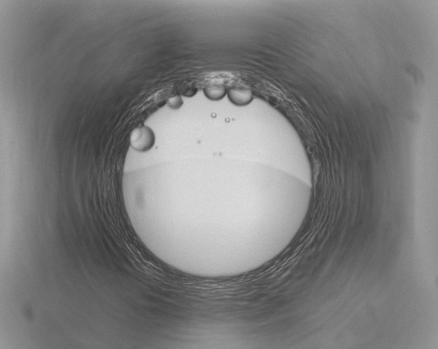 X0000115701394200912101205