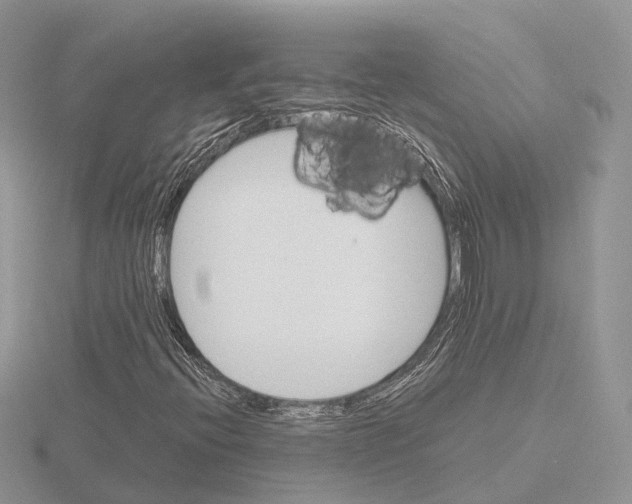 X0000115701396200912101205