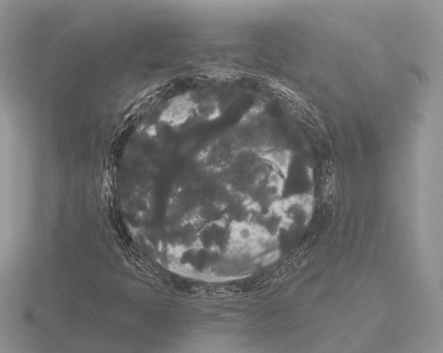 X0000115701397200912101205