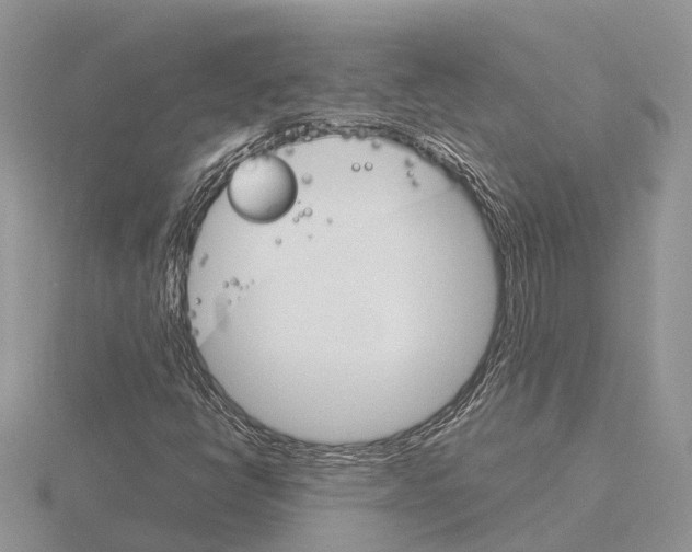 X0000115701398200912101205