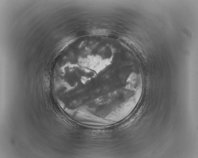 X0000115701401200912101205