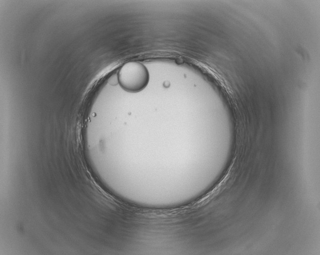 X0000115701402200912101205