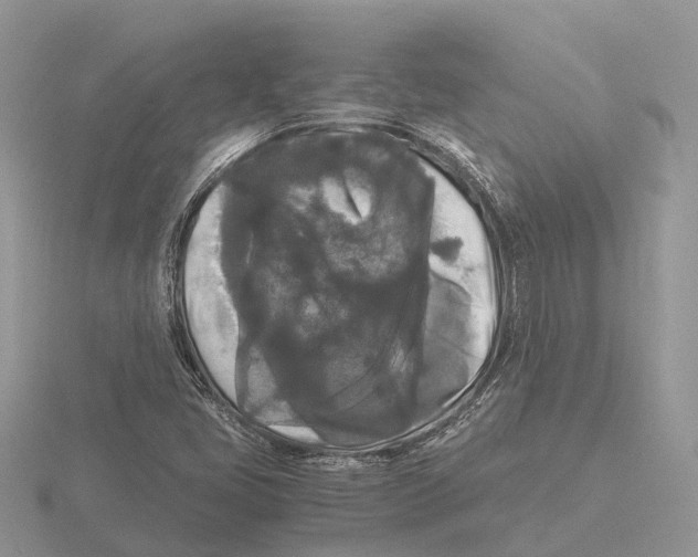 X0000115701405200912101205