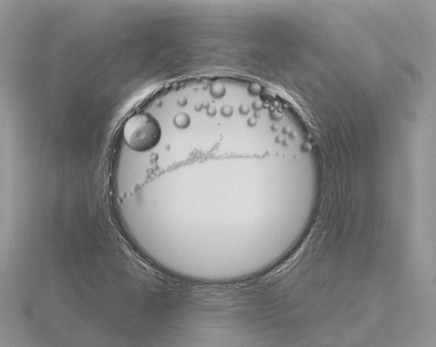 X0000115701406200912101205