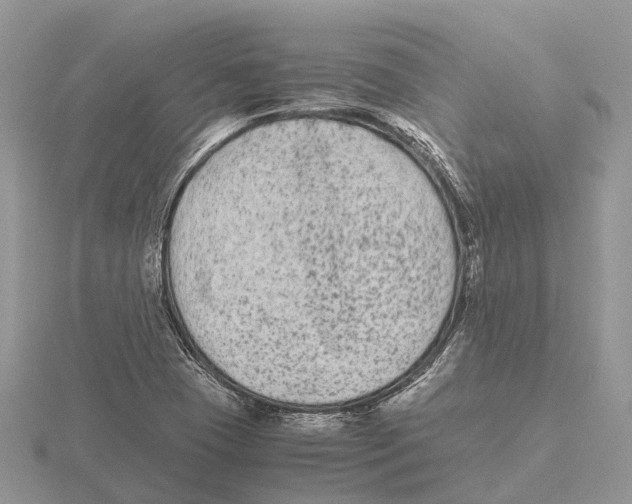 X0000115701409200912101205