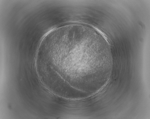 X0000115701411200912101205