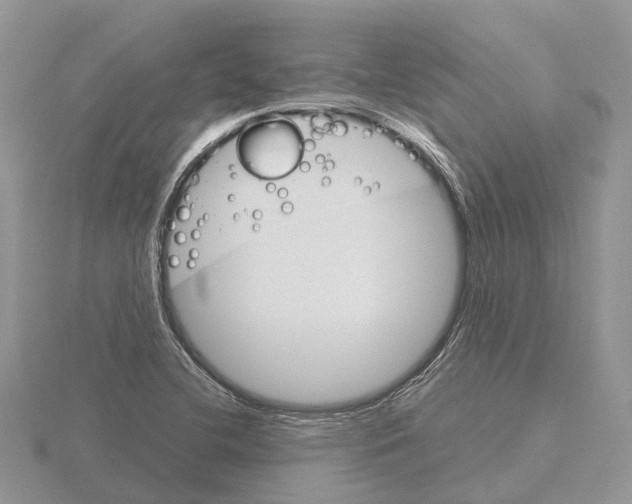 X0000115701412200912101205