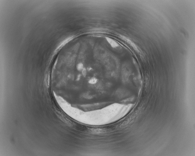 X0000115701413200912101205