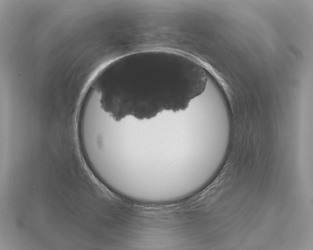 X0000115701416200912101205