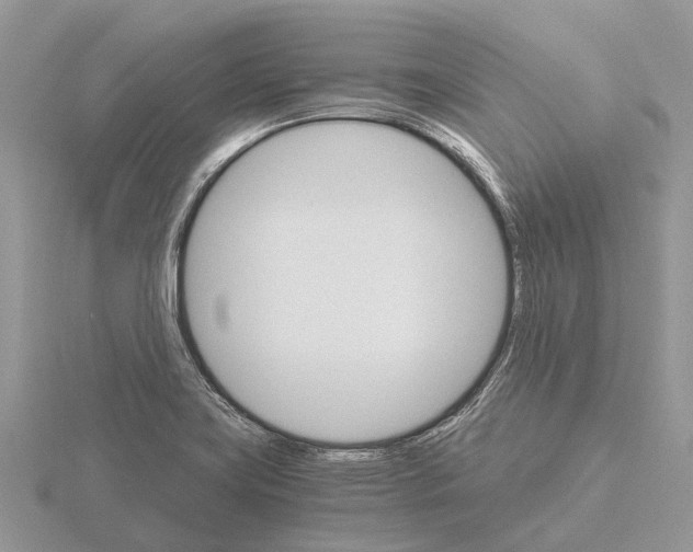 X0000115701419200912101205